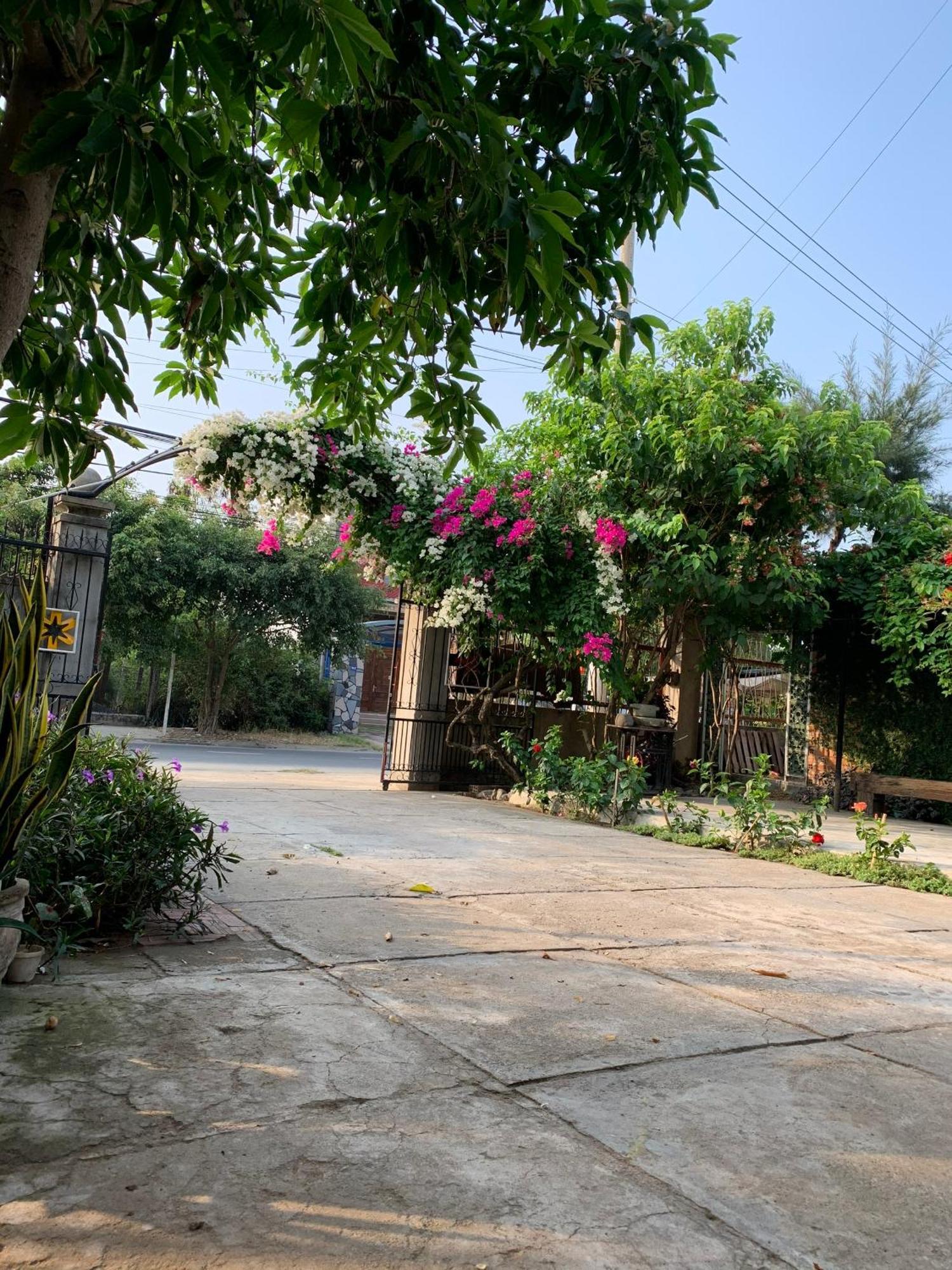 Yellow Farm Homestay Dong Tac Luaran gambar