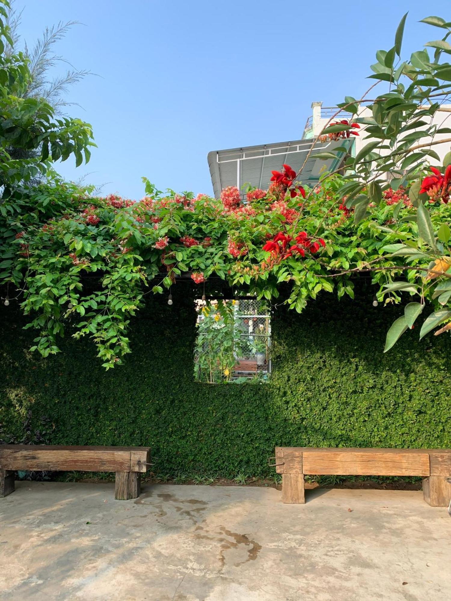 Yellow Farm Homestay Dong Tac Luaran gambar