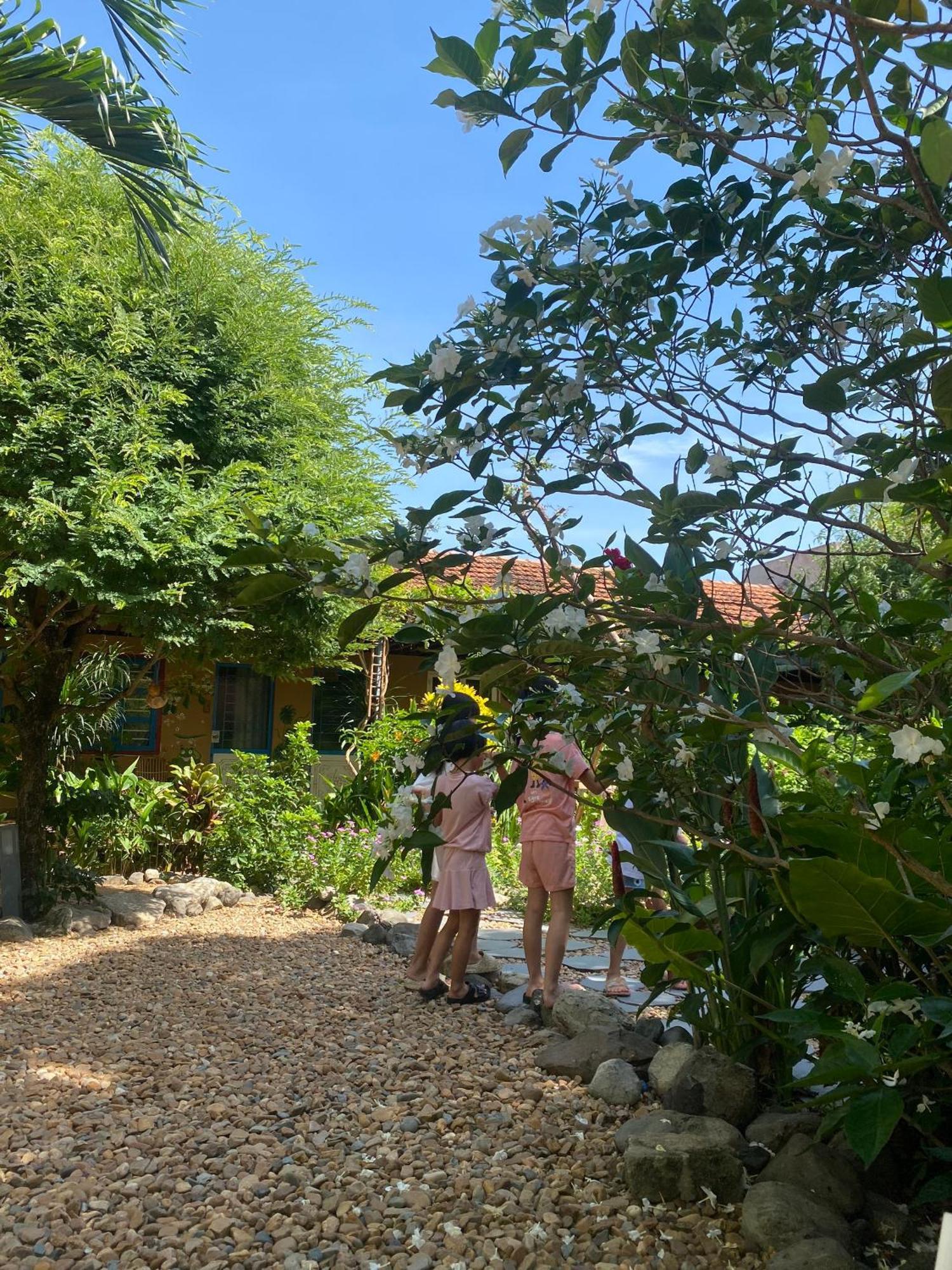 Yellow Farm Homestay Dong Tac Luaran gambar