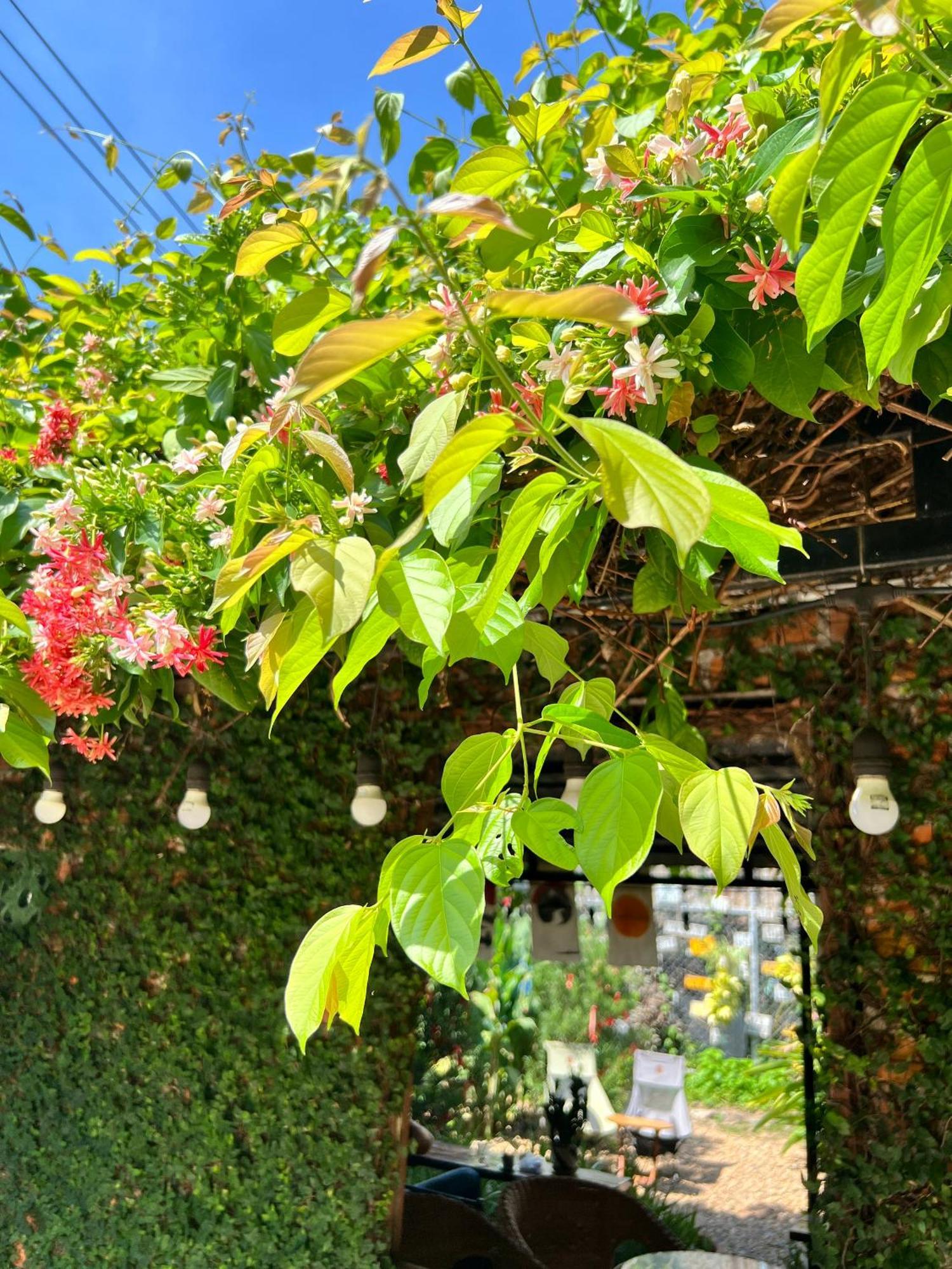 Yellow Farm Homestay Dong Tac Luaran gambar