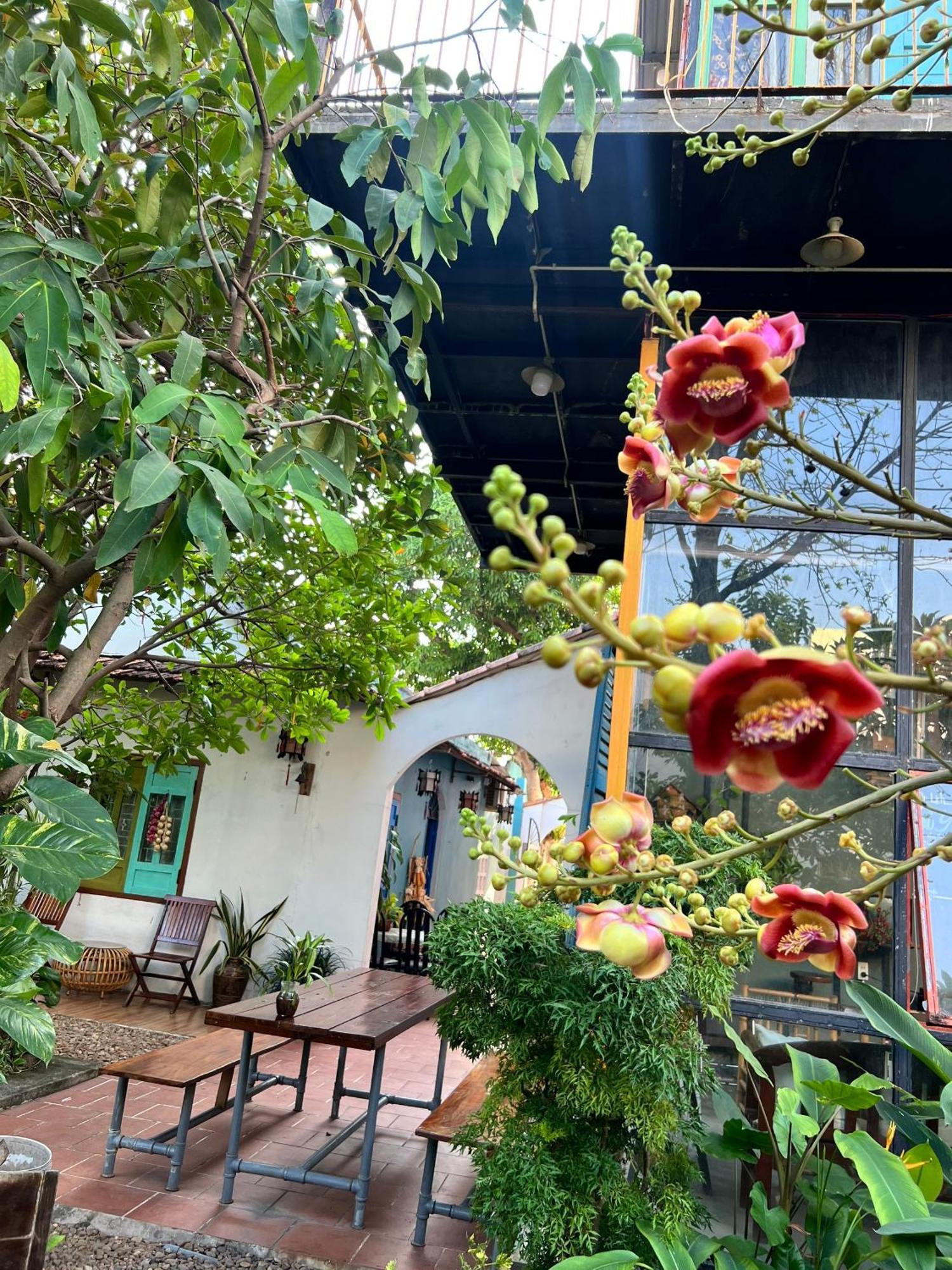 Yellow Farm Homestay Dong Tac Luaran gambar